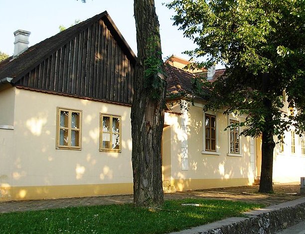 Slika
